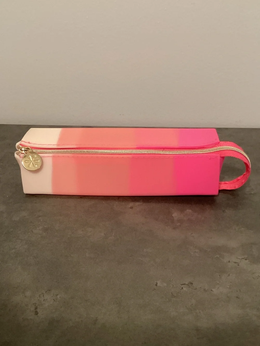 Erin Condren Pink Gradient Stripe Pencil Case with Charm